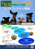 ドッグフェスタ in 舞鶴