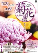 綾部市菊花展