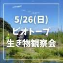 ビオトープ生き物観察会